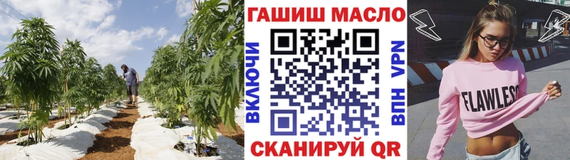 Купить где Власиха Дистиллят ТГК жижа