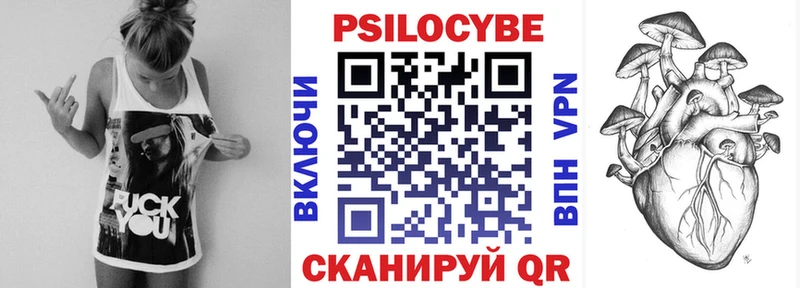 Купить где Власиха Галлюциногенные грибы Psilocybe